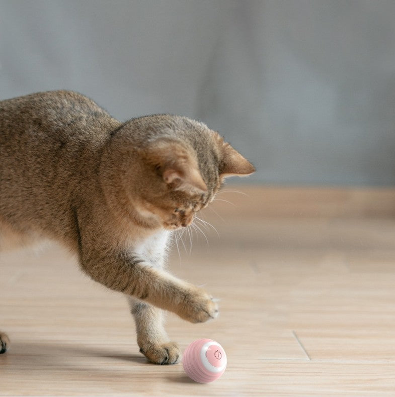 Interactive Smart Ball – Watch Your Cat Light Up with Fun!