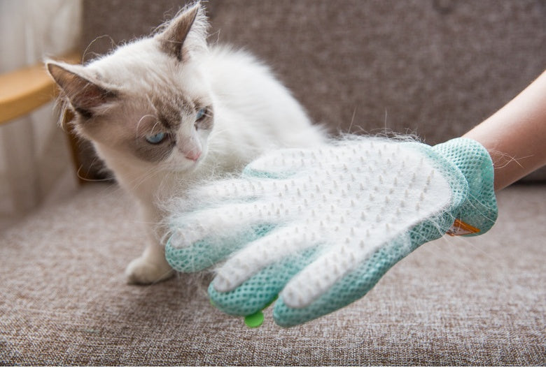 Loving soft touch grooming glove.